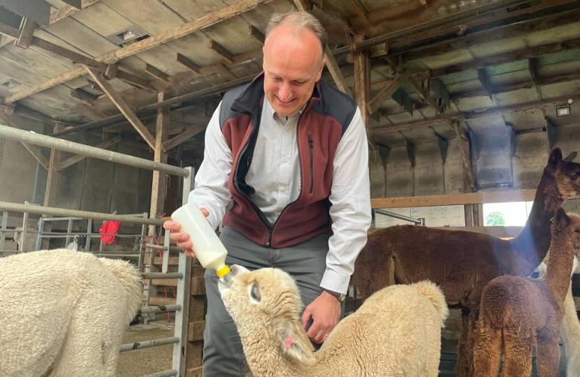 NH cria feeding 