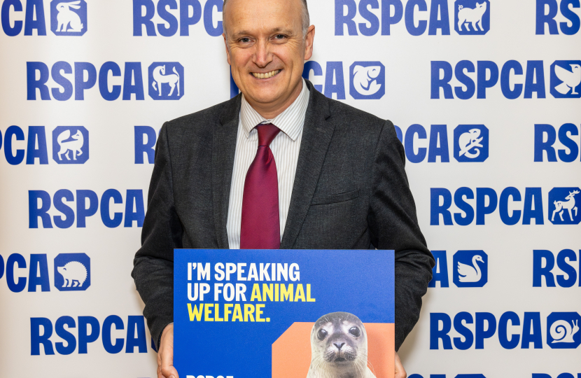 NH RSPCA