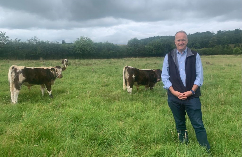 Neil Hudson with cattle