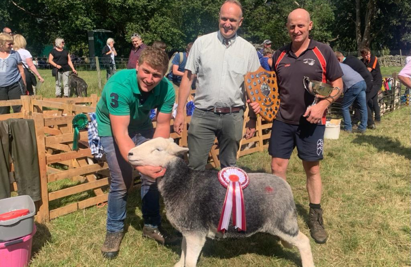 NH Patterdale Dog Show