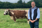 Dr Neil Hudson cattle