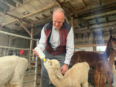 NH cria feeding 