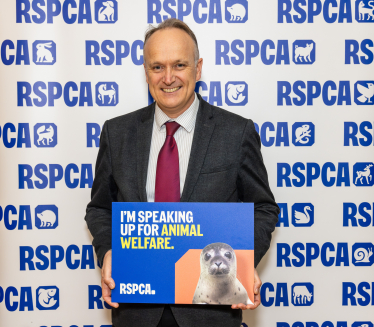 NH RSPCA